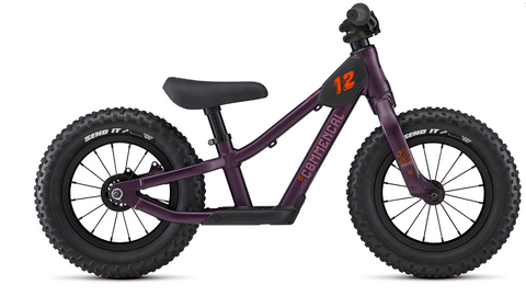 RMNS 12 PURPLE