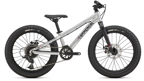 RMNS 20 SILVER 2022