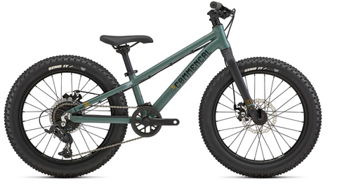 RMNS 20 GREEN 2022
